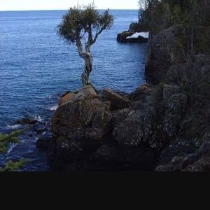 Meet your Posher, Gary